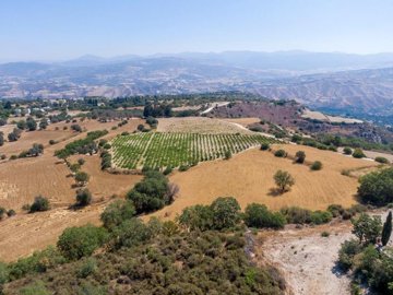 Field - Pano Akourdaleia, Paphos