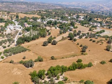 Field - Pano Akourdaleia, Paphos