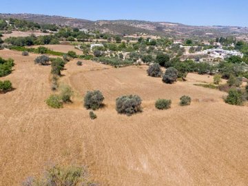 Field - Pano Akourdaleia, Paphos