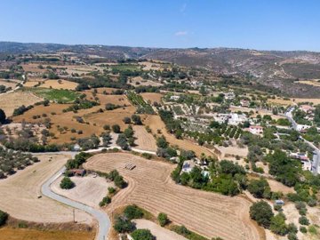 Field - Pano Akourdaleia, Paphos