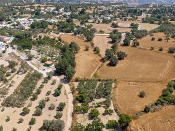 Field - Pano Akourdaleia, Paphos