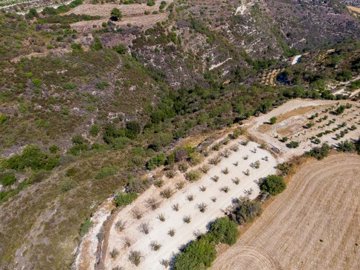 Field - Kritou Tera, Paphos