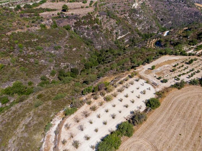 Image No.3-Land for sale