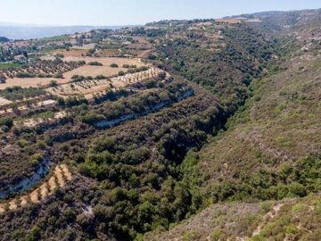 Field - Kritou Tera, Paphos