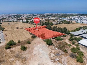 Field - Mesogi, Paphos