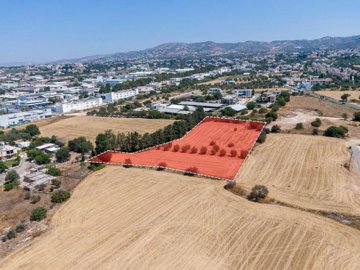 Field - Mesogi, Paphos