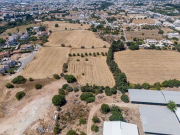 Field - Mesogi, Paphos