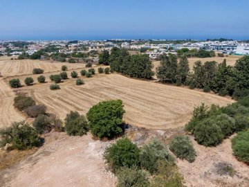 Field - Mesogi, Paphos