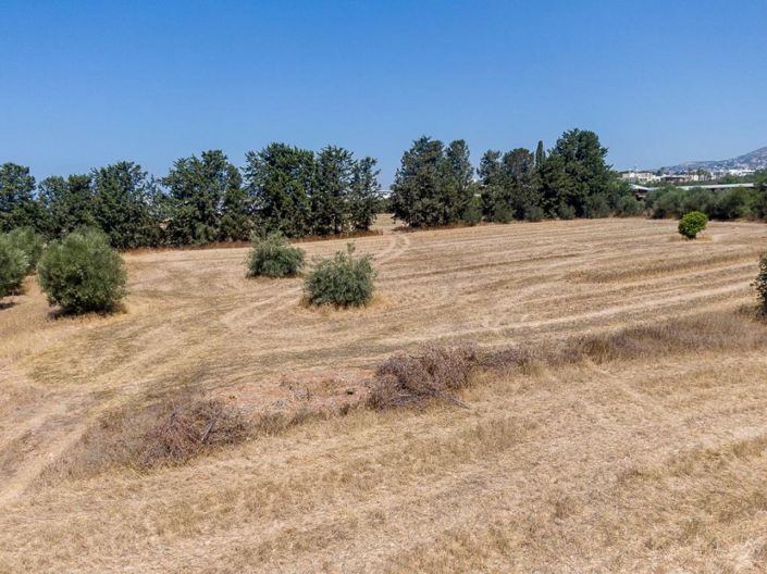 Image No.7-Terre à vendre à Mesogi