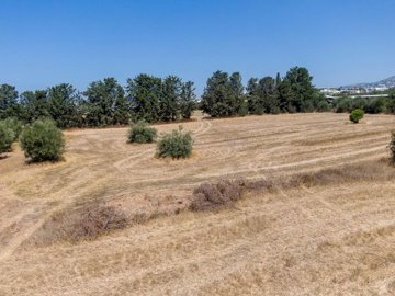 Field - Mesogi, Paphos