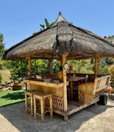 Detached Villa For Sale  in  Mesogi