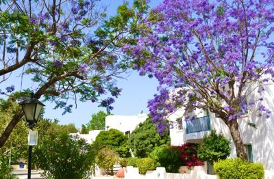 Apartment For Sale  in  Pafos Centre