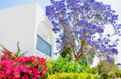 Apartment For Sale  in  Pafos Centre