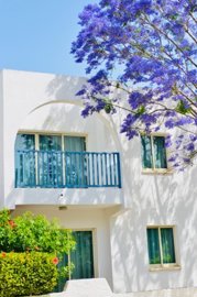 Apartment For Sale  in  Pafos Centre