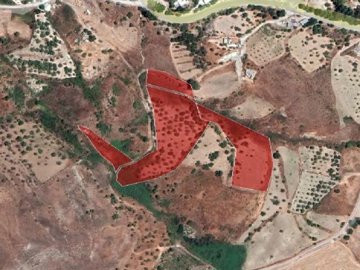 Field - Episkopi, Paphos