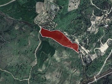 Field - Episkopi, Paphos