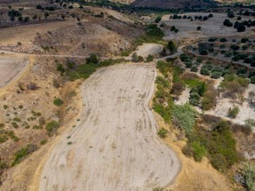 Field - Episkopi, Paphos
