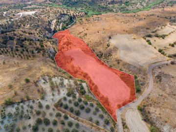 Field - Episkopi, Paphos