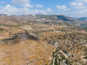 Field - Episkopi, Paphos