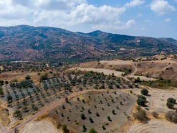 Field - Episkopi, Paphos