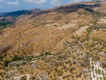 Field - Episkopi, Paphos