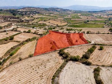 Field - Stroumpi, Paphos