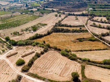 Field - Stroumpi, Paphos