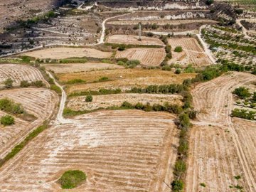 Field - Stroumpi, Paphos