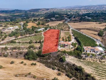 Field - Polemi, Paphos