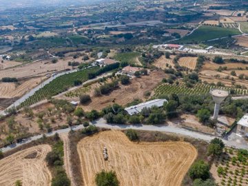 Field - Polemi, Paphos