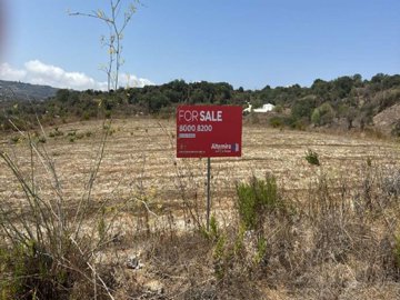 Field - Polemi, Paphos