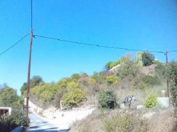 Field - Stroumpi, Paphos