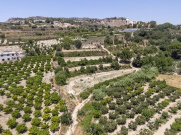 Field - Stroumpi, Paphos