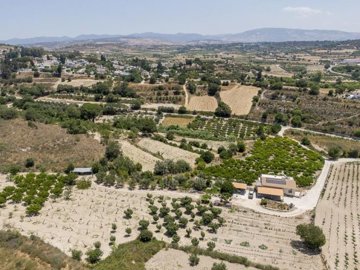 Field - Stroumpi, Paphos