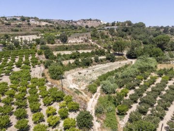Field - Stroumpi, Paphos
