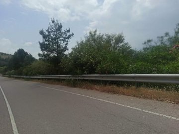 Field - Kelokedara, Paphos