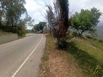 Field - Kelokedara, Paphos