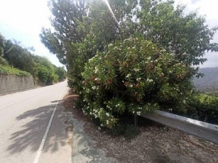 Image No.4-Land for sale