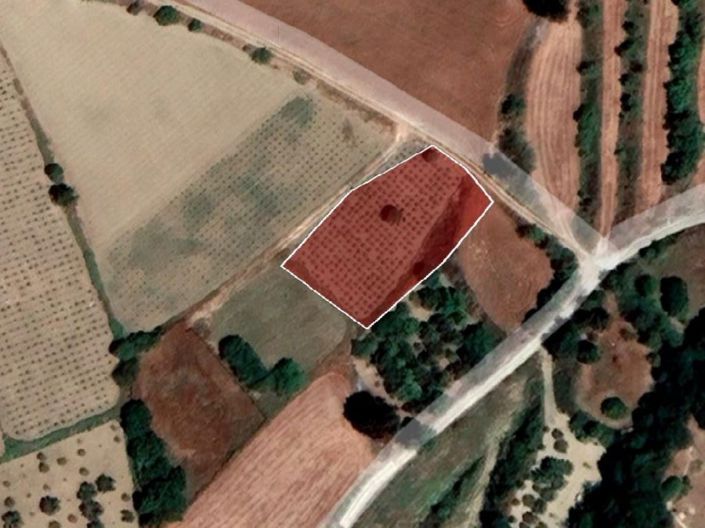 Image No.6-Terre à vendre à Polemi