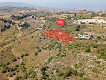 Field - Ineia, Paphos