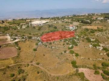 Field - Ineia, Paphos