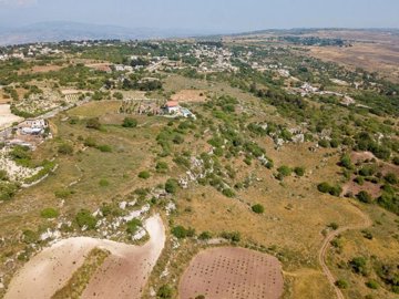 Field - Ineia, Paphos