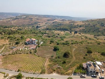 Field - Ineia, Paphos