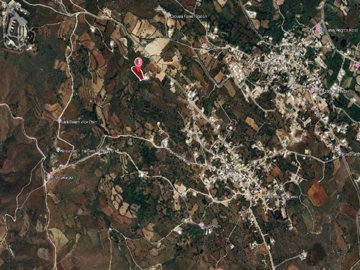 Field - Ineia, Paphos