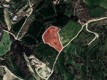 Field - Pano Akourdaleia, Paphos