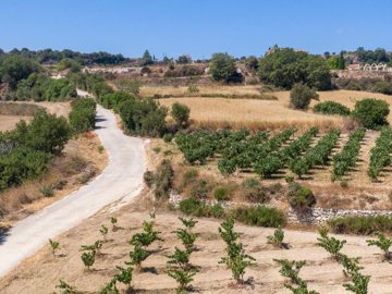 Field - Pano Akourdaleia, Paphos