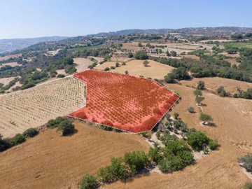 Field - Pano Akourdaleia, Paphos