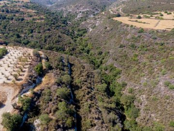 Field - Kritou Tera, Paphos