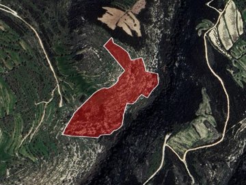 Field - Kritou Tera, Paphos