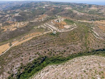 Field - Pano Arodes, Paphos